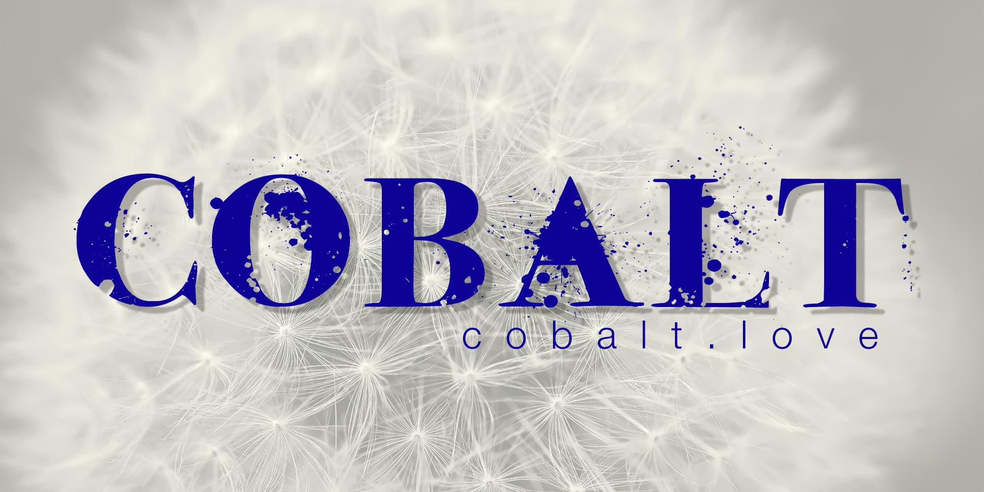 Luna e Stelle's Journey from COBALT: Reflecting on Our Past, Looking to Our Future